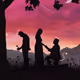 Silhouette Collections