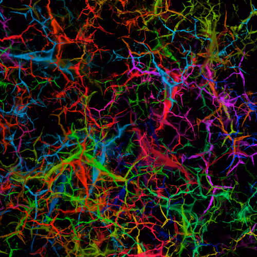 Item #50918555062582210159273167721725581522404743190091886750106034869599469568001 Media