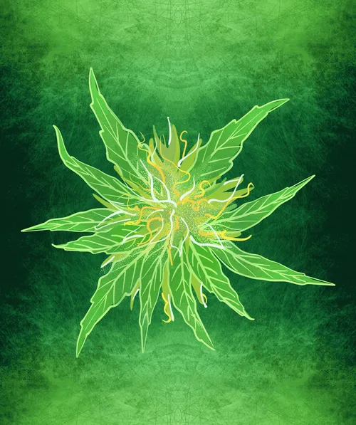 Item #88173920956366532206384104525204378846175092179682069740847406047447004217345 Media