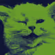 14224423665961401328079610152226671560615151109871567909520792314539944181761