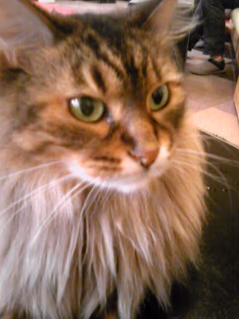 Item #2798886557042806862996260737379437753708202189265976662753732482877024632833 Media