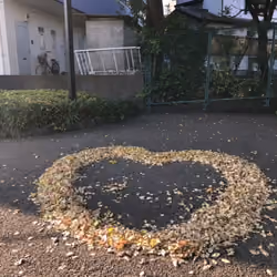 Creation of fallen leaves