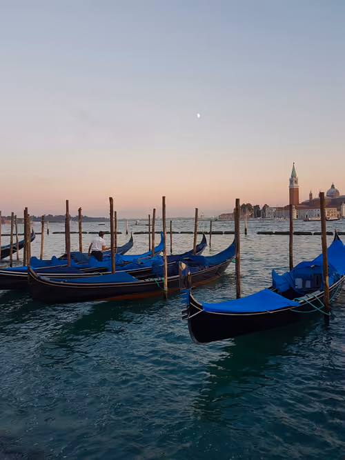 Item #33261409280827848890636833313665954217119010705453802455397167677789125476360 Media