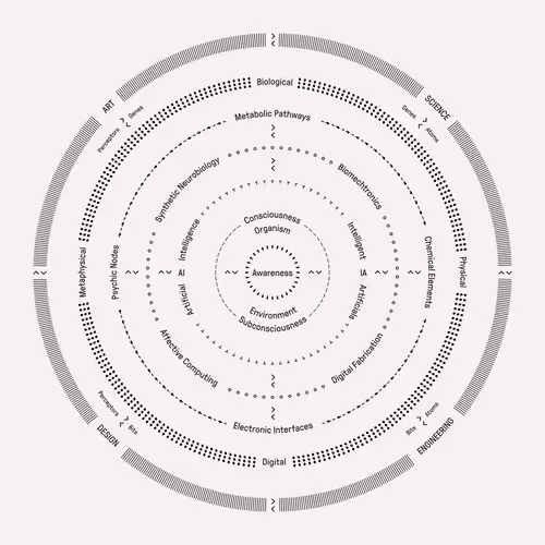 Untitled Collection #84182398