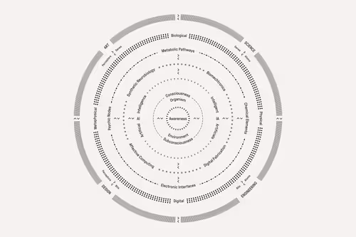 Item #82463304193612006264999386530865590940548927554592756682254534332553587851265 Media