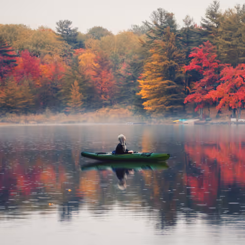 Fall Diaries CIhymdgfcp