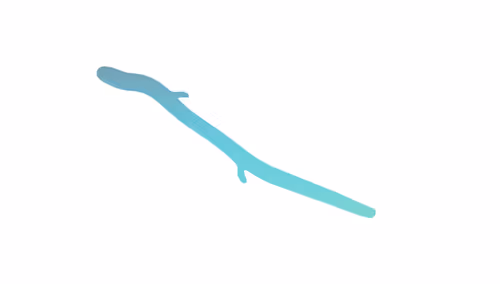 Item #17755440104982517953853418754656261360363945618725315047813017598950165708801 Media