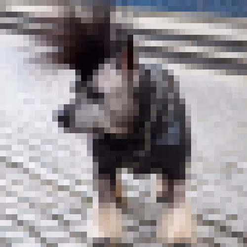 Item #54454380677249840748926722717072301200377530719065436340930836970461919707141 Media