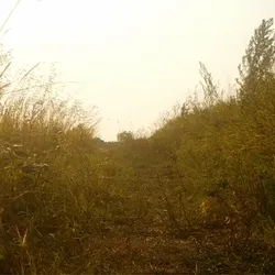 Follow the Wind