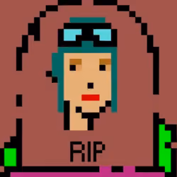 RIP PUNK 66