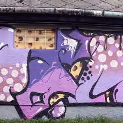 Wall Graffiti #13