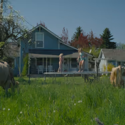 dairy dance