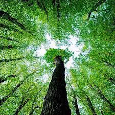 ktama_ETH Collection