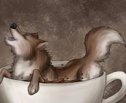 Coffee #4