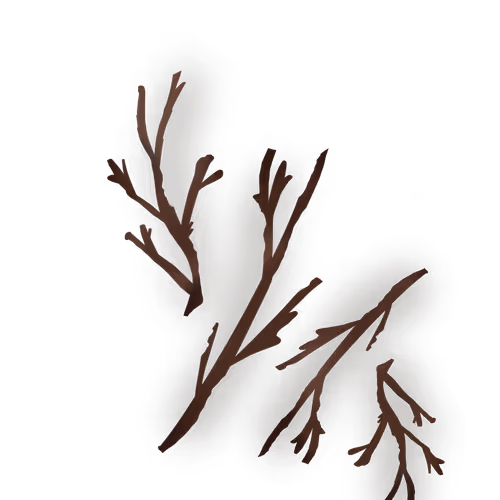 84095843279643989357089024802437267244550491417541544316462293911262621335553