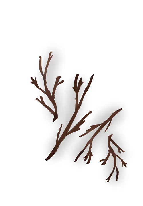 Item #84095843279643989357089024802437267244550491417541544316462293911262621335553 Media