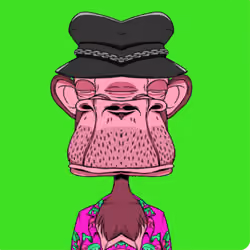 Angry Ape 206