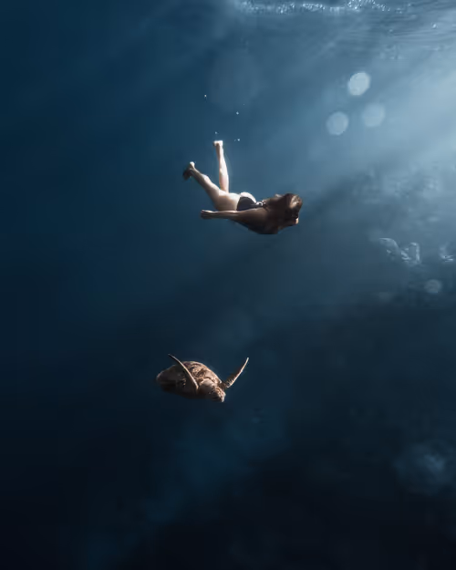 Item #28576884558960261702679330541156353592021494721255183711613472590298731249665 Media