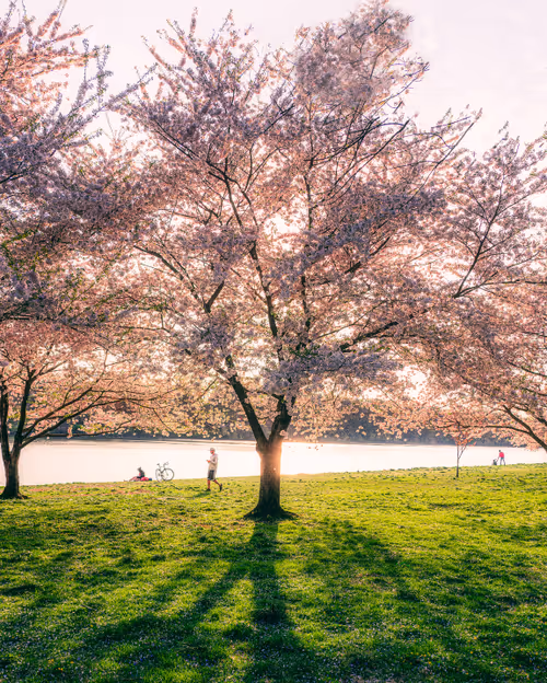 Item #107058718506262446677419442098798301649782478702117872096950278620040661041153 Media