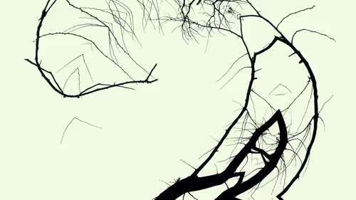 Item #24967146477419090921560663038626653354572651960968859782515528552701635854337 Media