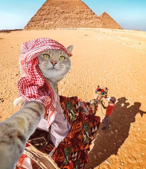 Item #12432533090897662026869168976523784185628976291471842491353891648933342478337 Media