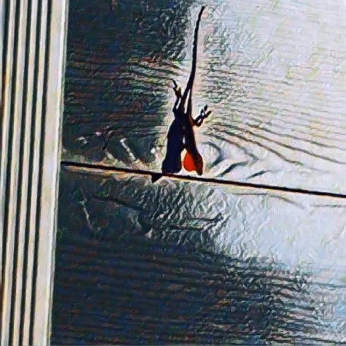 Item #6822172971026890418880562505450227759252596580722353794181564529487120433153 Media