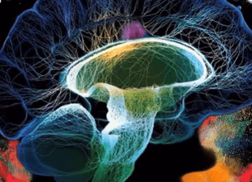 Item #44820903106987093458998790611995561527004783591399631822843358593939608174593 Media