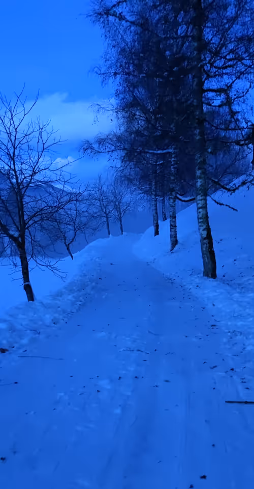 Item #88353325740892022603979579663228138712443640373110526023367119862436697473025 Media