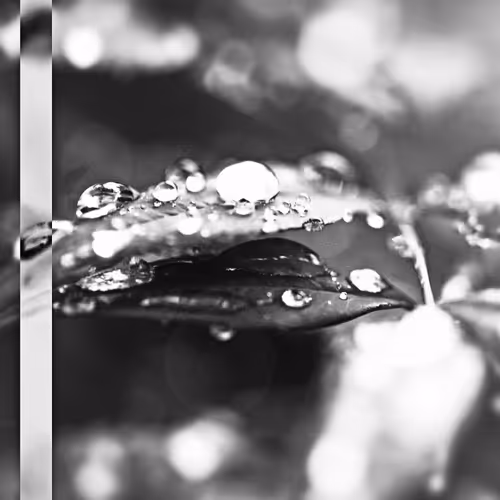 Item #16242110343075384695976872511431893746584995890381912354078390071205321244673 Media