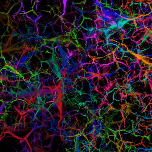 Item #50918555062582210159273167721725581522404743190091886750106034847609237012481 Media