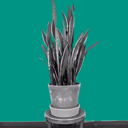 25379124807980713745219244606437574046087384809022650852355167093928725839873