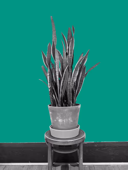 Item #25379124807980713745219244606437574046087384809022650852355167093928725839873 Media