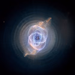 Cat's Eye