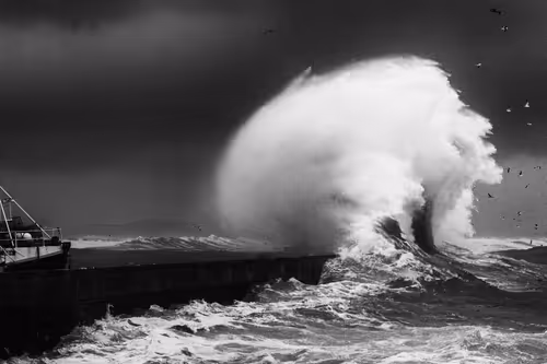 Item #9465970919991825070381387110769562952088497977437425311300914646021142740993 Media