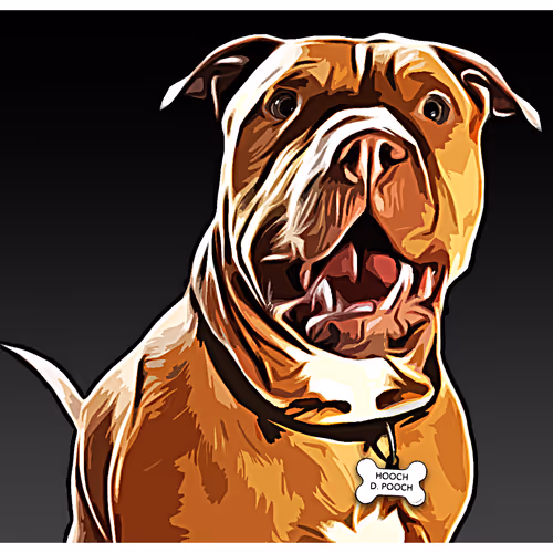 Hooch D. Pooch - The Adorable