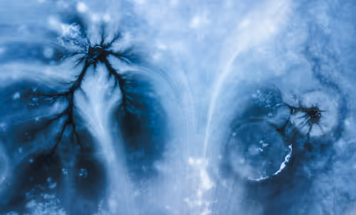 Item #44597214207808434690728600590910675747721082411314355056024202375887014854657 Media