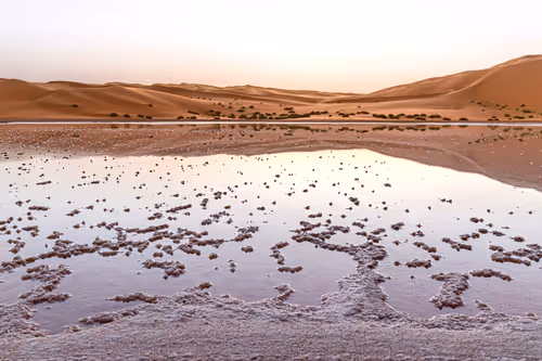 Item #12333759371985289416686528618250941787801478820548931806244366497631321456641 Media