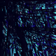 zidewayz: ABSTRACTIONZ