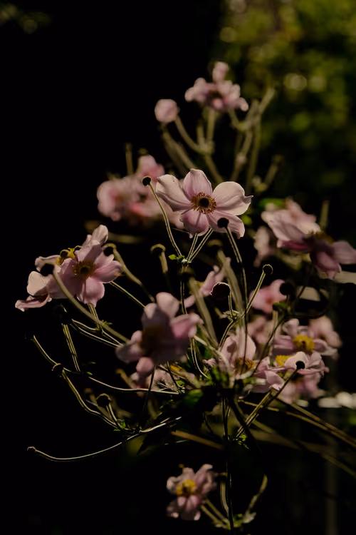 Item #60517015273015201167448896959818064210390269083404328919055338537069068681217 Media