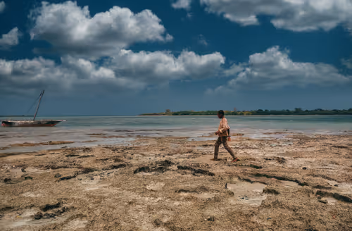 Item #81057615018985245267668409952199543064735075507553677475786031541128752267265 Media