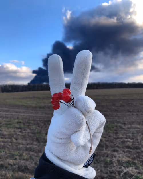 Item #98005874063086952784788628439197826676066382464840560618238063423152893984769 Media