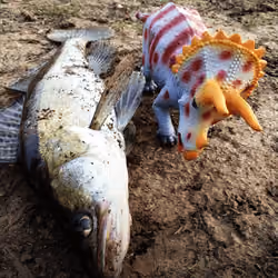 Triceratops Stas fishing