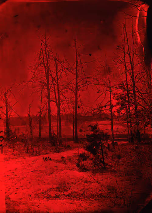 Item #112976571757822569538194461650133321399486138832093946782655487670890983849985 Media