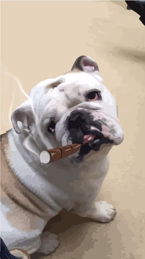 Item #20828973152965911082690655211020752553095895178980185052917274011630114439169 Media