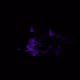 11485515141855400046720466458234721235500151111703886843860958615816275755009