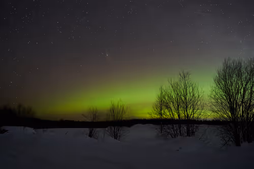 Item #90774225288665934587059440607395311701717167789030484580302433032275031490561 Media