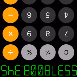 She Boobless - Inverted Calculator 