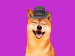 Item #35132558306005666945989237054941300939245987658462459495312623052564706885633 Media