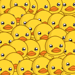 Duck #4