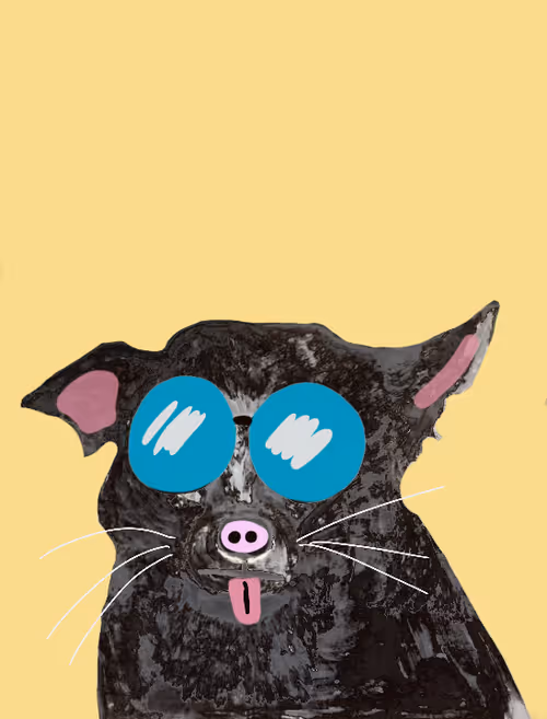 Item #8190719571610145789568542506567364700647027859008357845740194921167026388993 Media